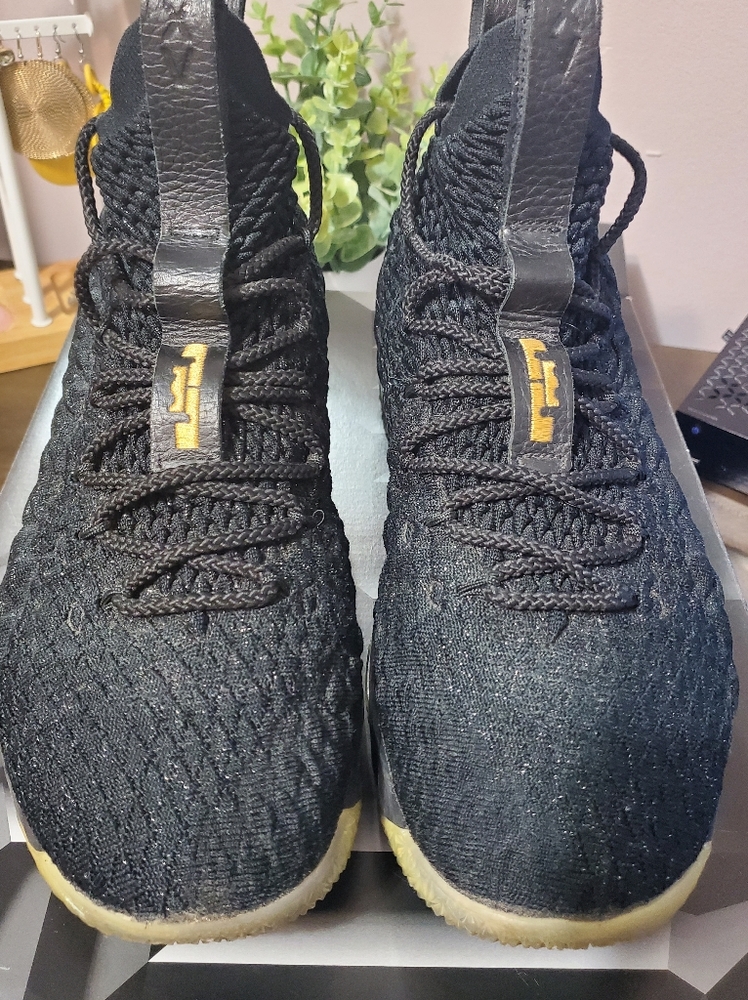 Nike LeBron James sneakers